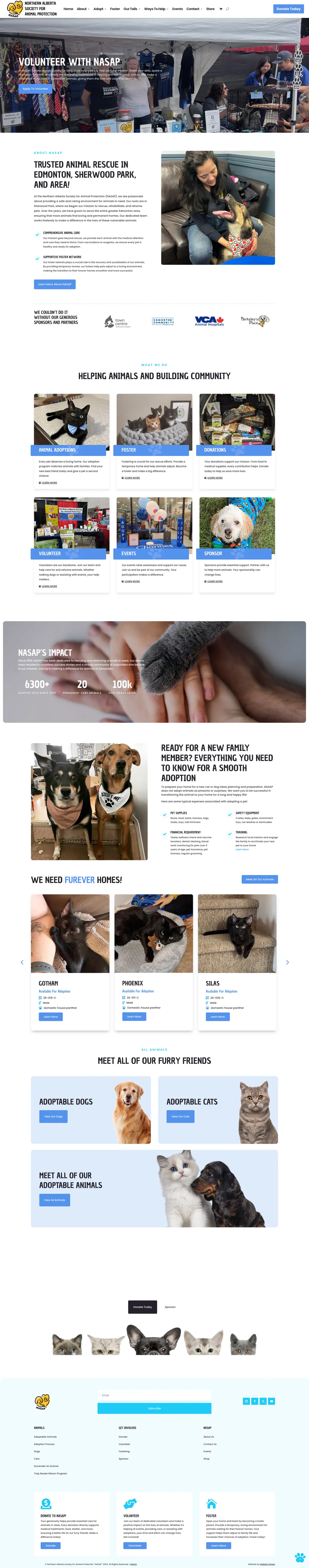 NASAP website, full page
