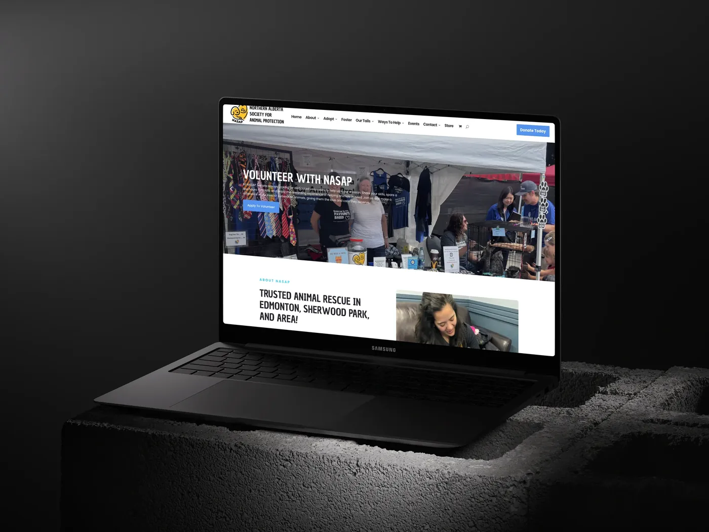 NASAP website on a laptop
