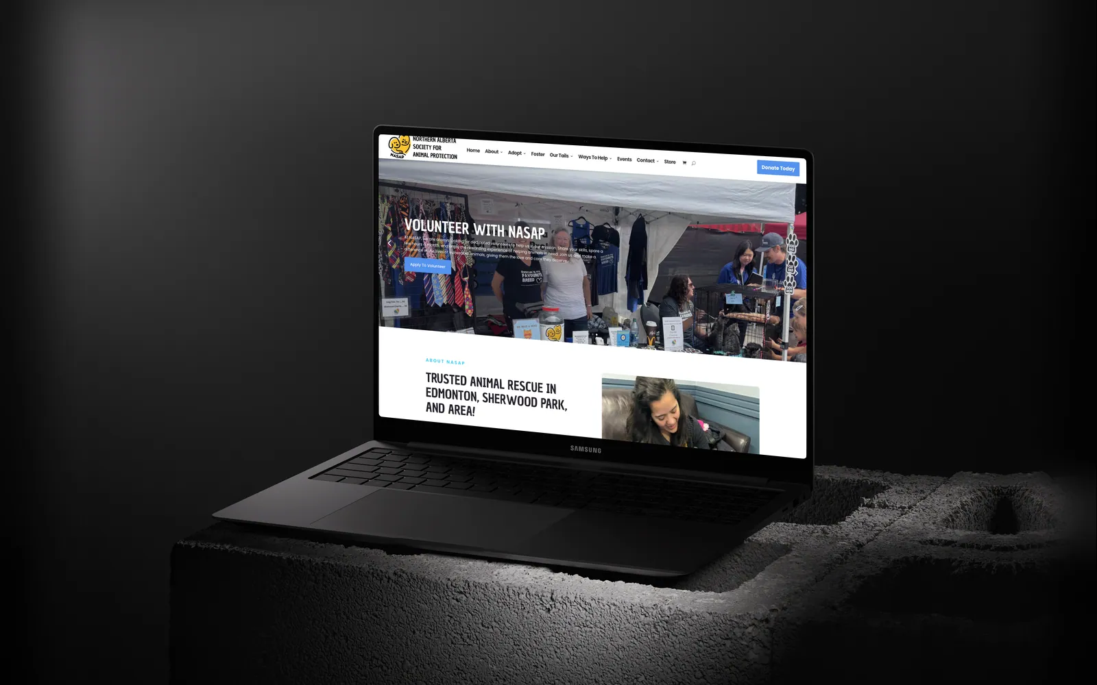 NASAP website on a laptop